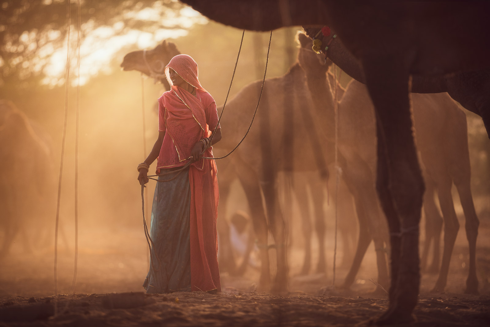 India2018 A85I0375 1DX Mark II Modifica Modifica ©SimonePaleari